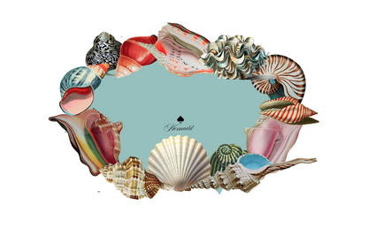 POLERA ALGODON NEGRA UNISEX  CONCHAS- SEBASTIANA